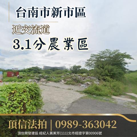 台南新市拍賣農地-1