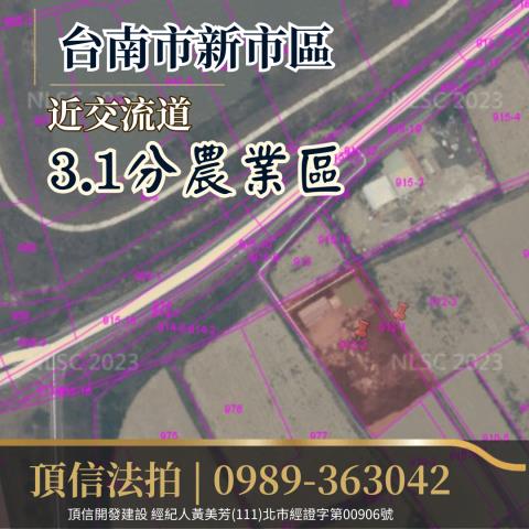 台南新市拍賣農地-2
