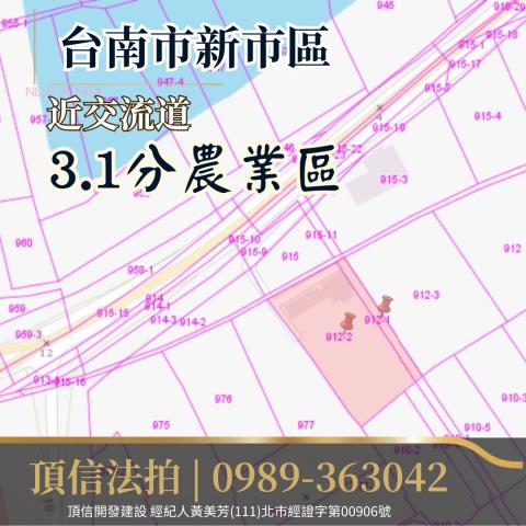 台南新市拍賣農地-3