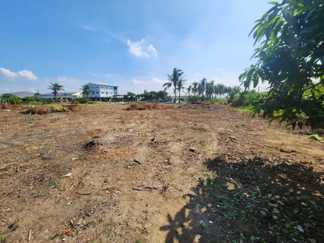 高雄路竹農地-4