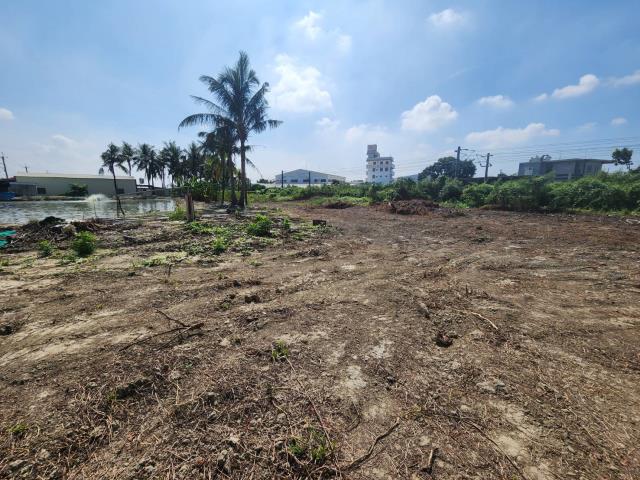 高雄路竹農地-7