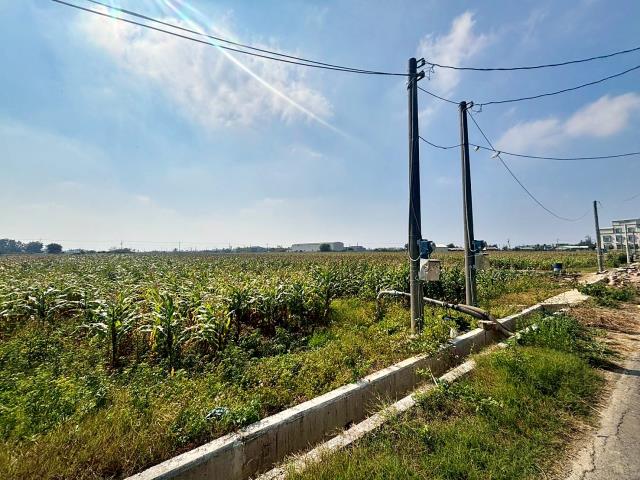 嘉義東石農地-2