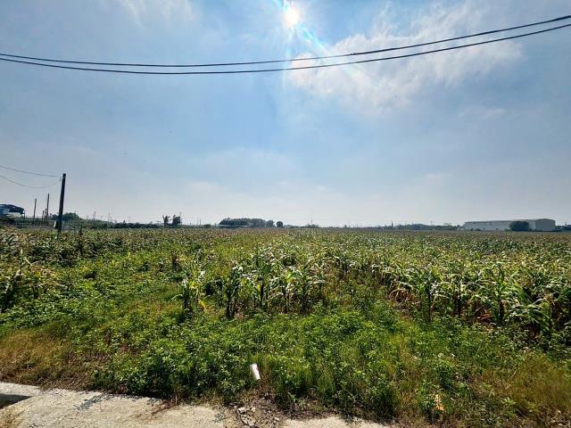 嘉義東石農地-3