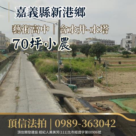 嘉義新港法拍農地-0