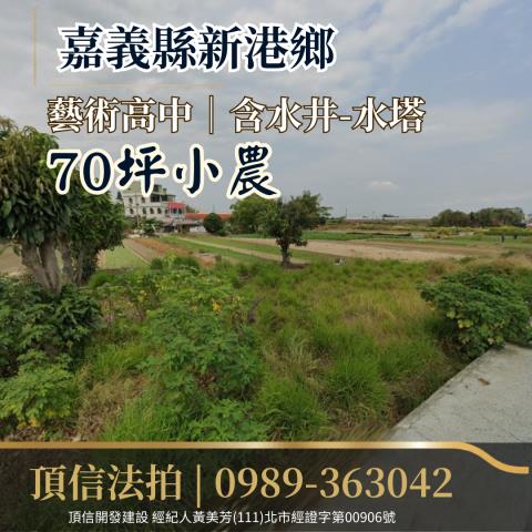 嘉義新港法拍農地-1