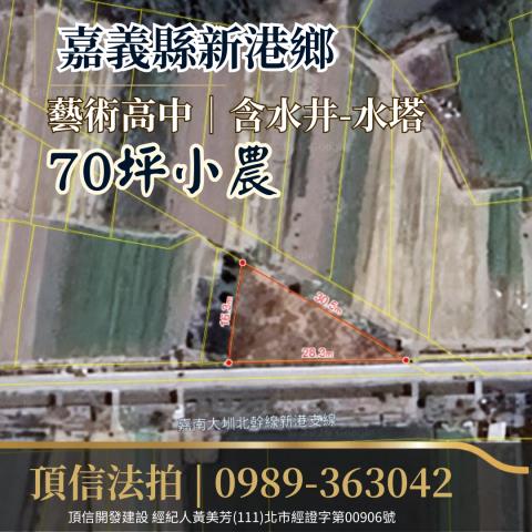 嘉義新港法拍農地-2