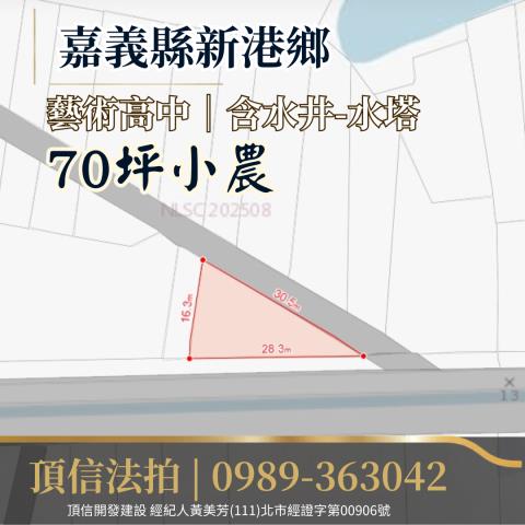 嘉義新港法拍農地-3