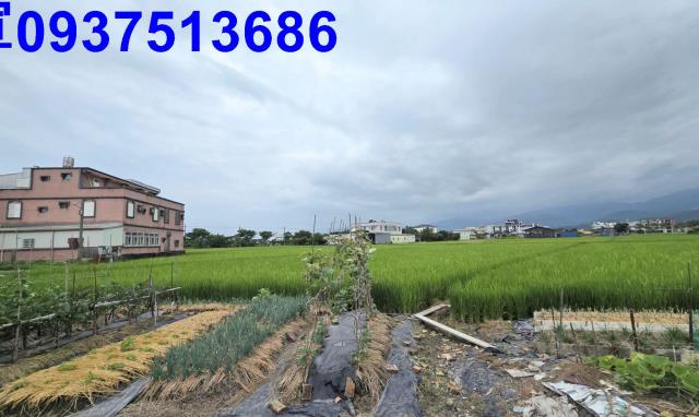 宜蘭壯圍農地-1