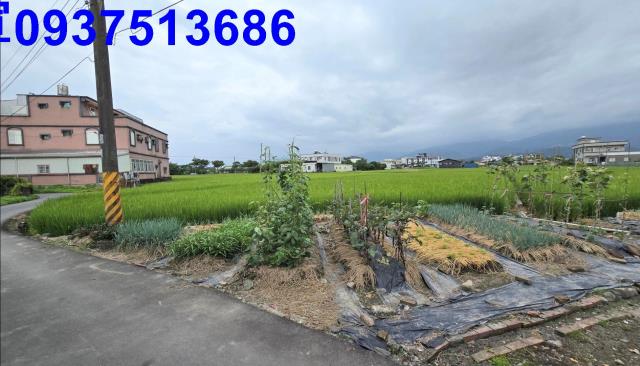 宜蘭壯圍農地-6