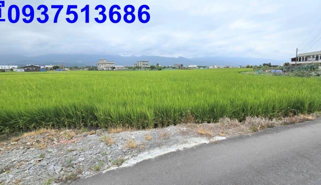 宜蘭壯圍農地-2