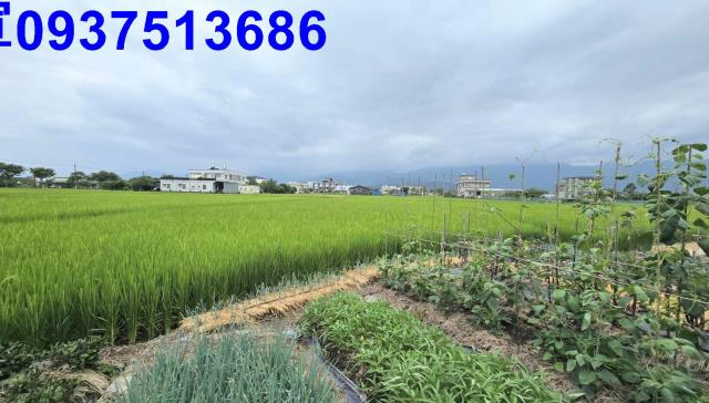 宜蘭壯圍農地-4