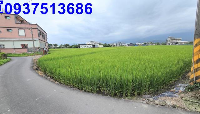 宜蘭壯圍農地-5