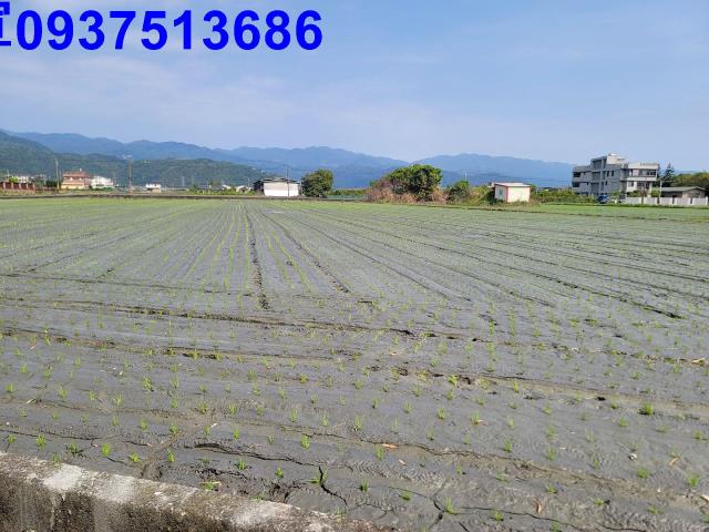 員山農地-3