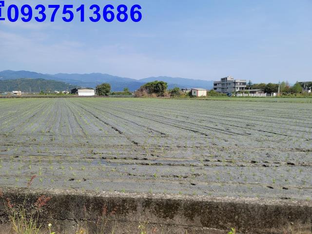 員山農地-4