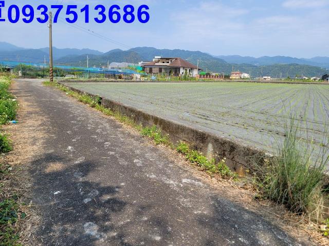 員山農地-5