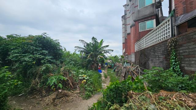 桃園農地-1