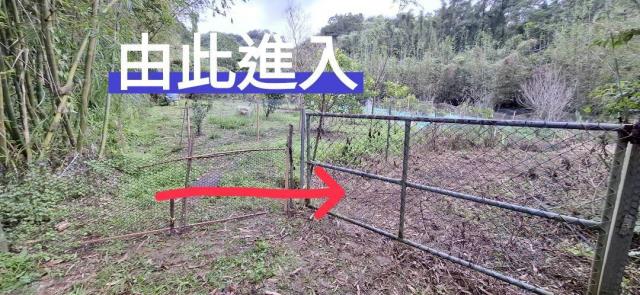 桃園農地-0