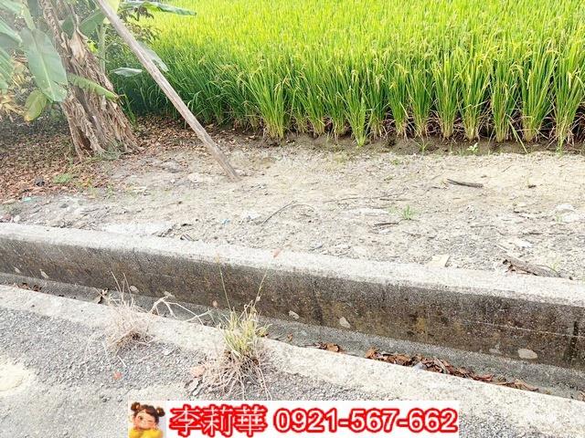 台南農地-2