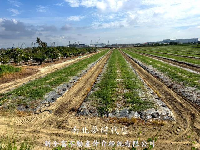 台南新市農地-0