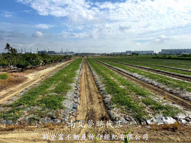 台南新市農地-7