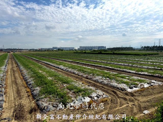 台南新市農地-8