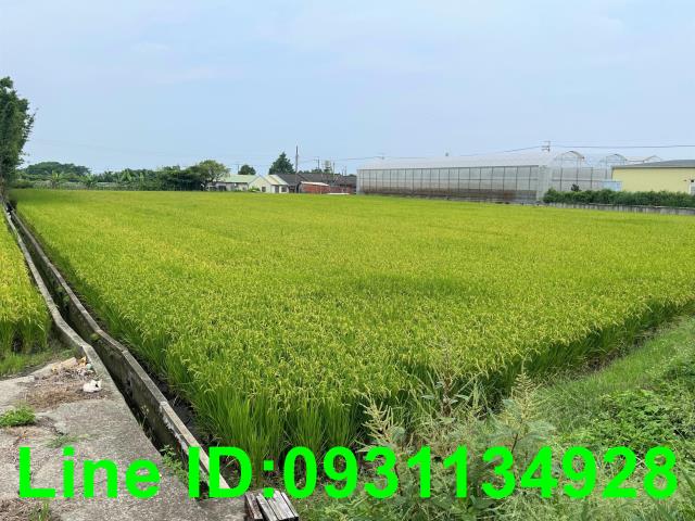 台中外埔農地-0