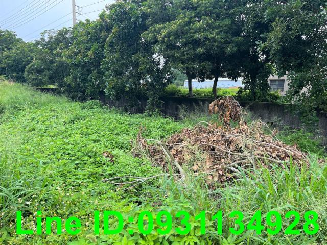 台中外埔農地-1