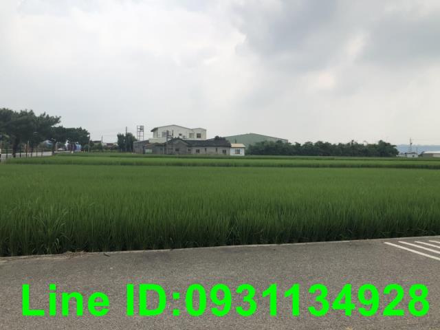 苗栗苑裡農地-0