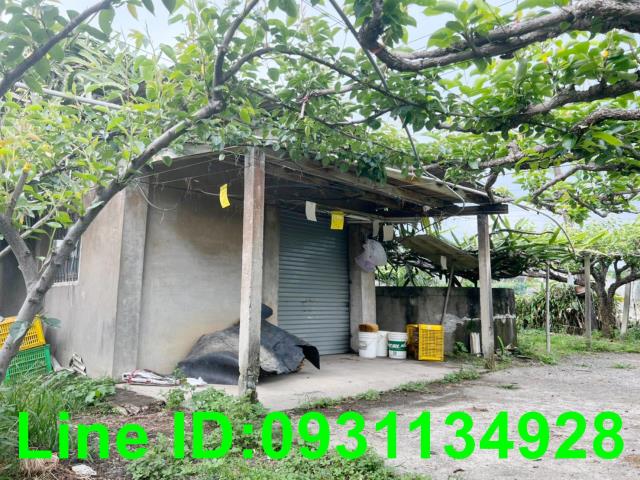 台中新社農地-3
