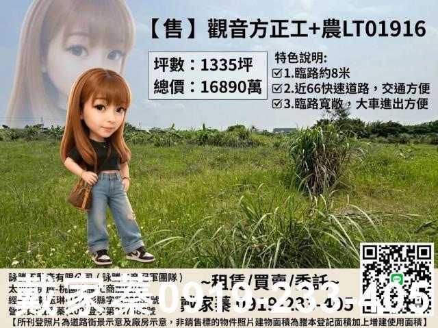 桃園桃園區農地-0