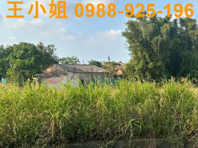 大園農地-13