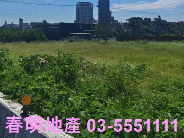 新竹新豐農地-3
