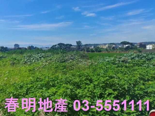 新竹新豐農地-4