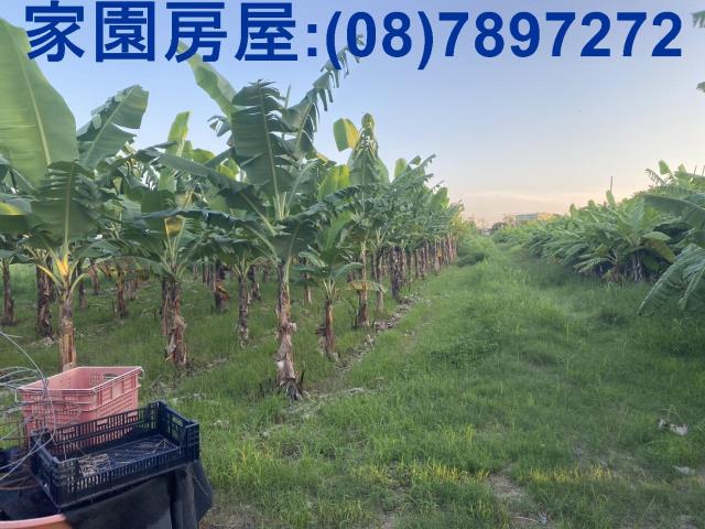 潮州農地-1