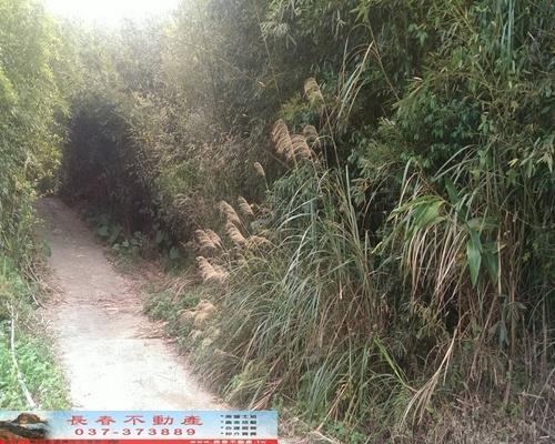 苗栗銅鑼農地-2