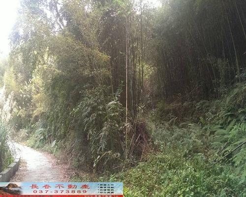 苗栗銅鑼農地-3