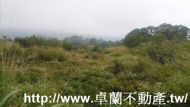 8D341頭份濫坑田