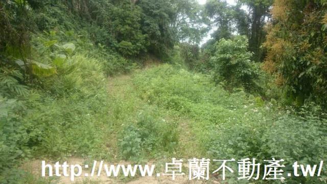 卓蘭農地-5