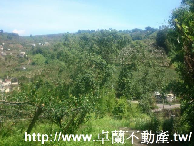 卓蘭農地-8